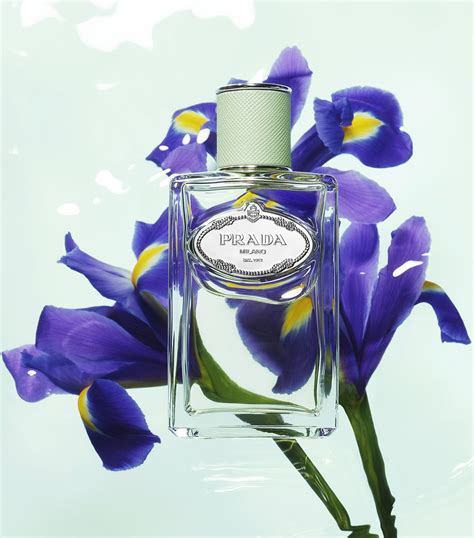 infusions de prada iris|Prada infusion d'iris 100ml.